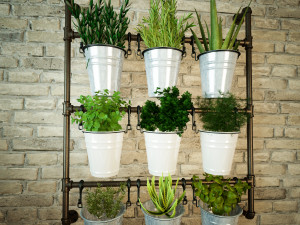 Planter Rack PB5 Model 3D