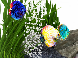 Sci Fi Aquarium AQ1 Modelo 3D