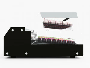 Macarons Display LB16 3D Model