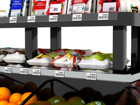Showcase 05 SC05 3D Model