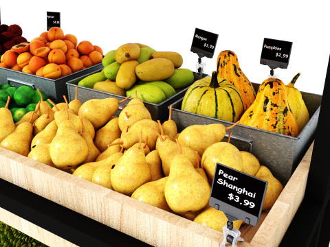 Vitrine 10 SC10 Modèle 3D