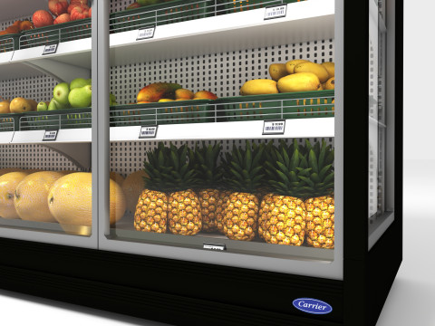 Koelkastdisplay 01 RD01 3D Model