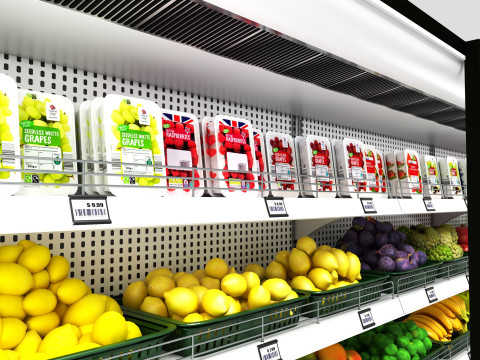 Koelkastdisplay 01 RD01 3D Model