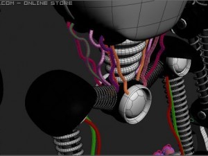 calypso 3D Model
