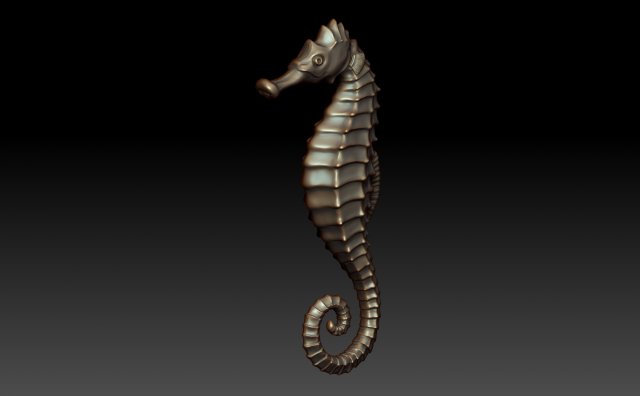 Download seahorse 3D Model