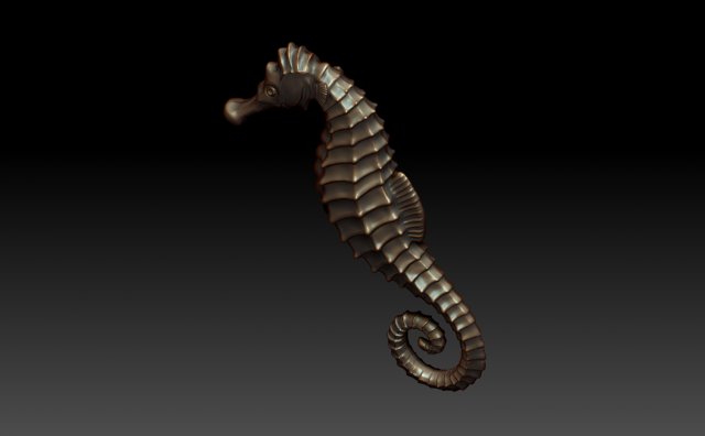 Download seahorse 3D Model