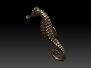 seahorse 3D Print Model