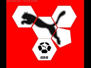 pallone da calcio puma Modello 3D