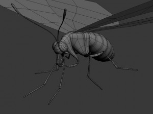 butterfly papilio machaon Modello 3D