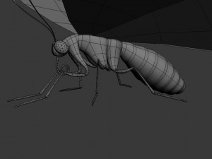 butterfly papilio machaon Modello 3D