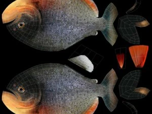 peixe piranha Modelo 3D
