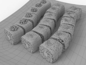 sushi dragons 3D 模型