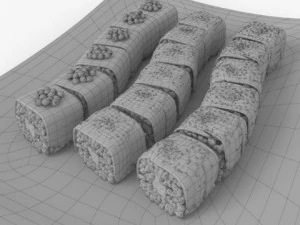 sushi dragons 3D Model