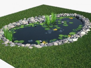 pond Modelo 3D