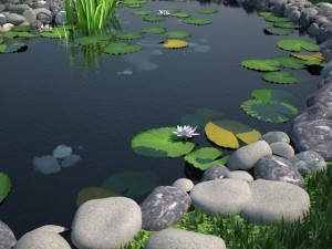 pond Model 3D