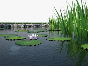 pond Model 3D