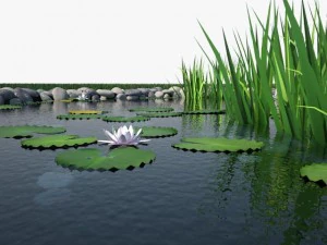 pond 3D Model