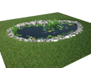 pond 3D Model