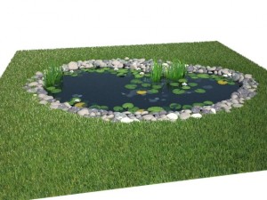 pond Model 3D