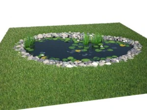 pond 3D Model