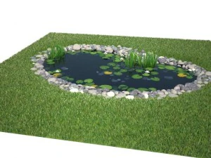 pond 3D Model