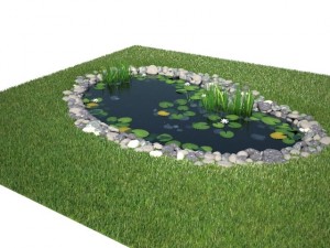 pond Model 3D