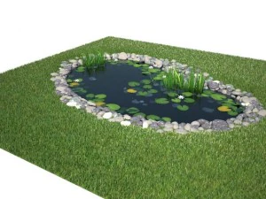 pond 3D Model