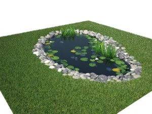 pond 3D Model