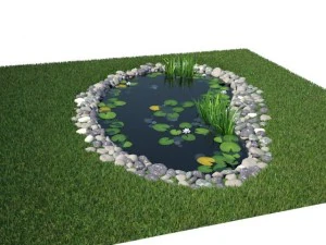 pond 3D Model