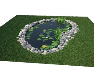pond Model 3D