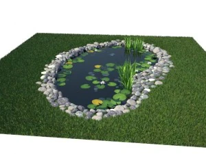 pond 3D Model