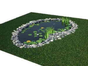 pond 3D Model