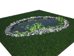 pond Model 3D