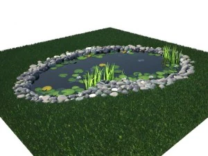 pond 3D Model