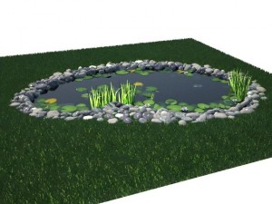 pond Model 3D