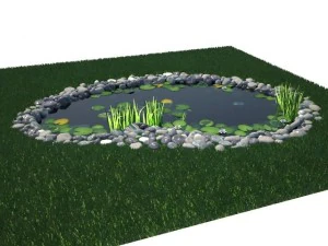 pond 3D Model