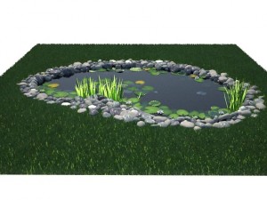 pond Model 3D