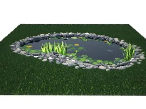 pond 3D Model