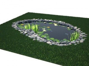 pond Model 3D