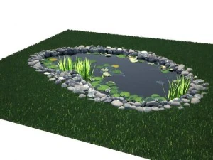 pond 3D Model