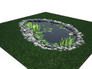 pond Model 3D