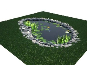 pond 3D Model