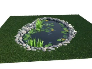 pond 3D Model