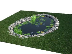 pond 3D Model