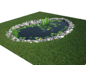 pond 3D Model