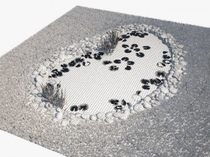 pond Model 3D