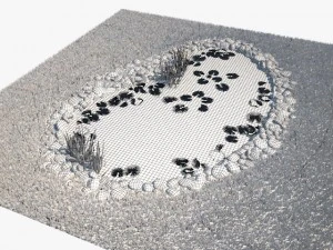pond 3D Model