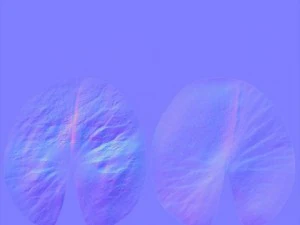 pond 3D Model