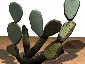 10 plants 3D Модель