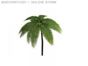 10 plants 3D Модель